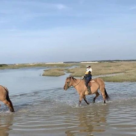 Fort-Mahon : Superbe T2 A 2 Pas De La Plage Avec Parking Prive - Fr-1-482-15 Eksteriør billede