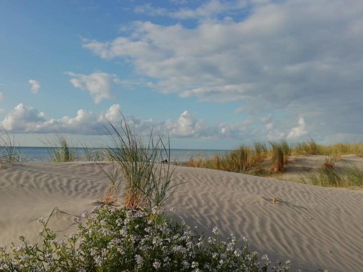 Fort-Mahon : Superbe T2 A 2 Pas De La Plage Avec Parking Prive - Fr-1-482-15 Eksteriør billede