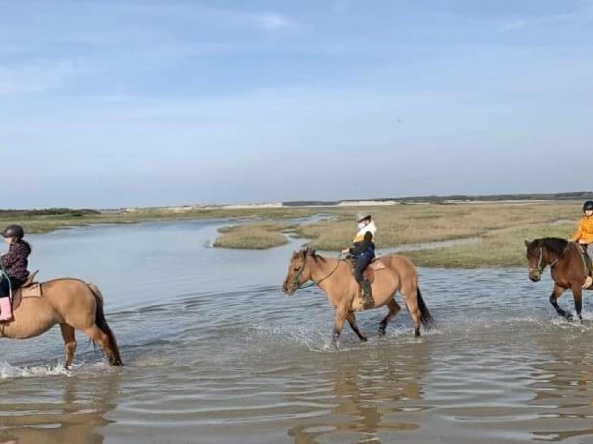 Fort-Mahon : Superbe T2 A 2 Pas De La Plage Avec Parking Prive - Fr-1-482-15 Eksteriør billede
